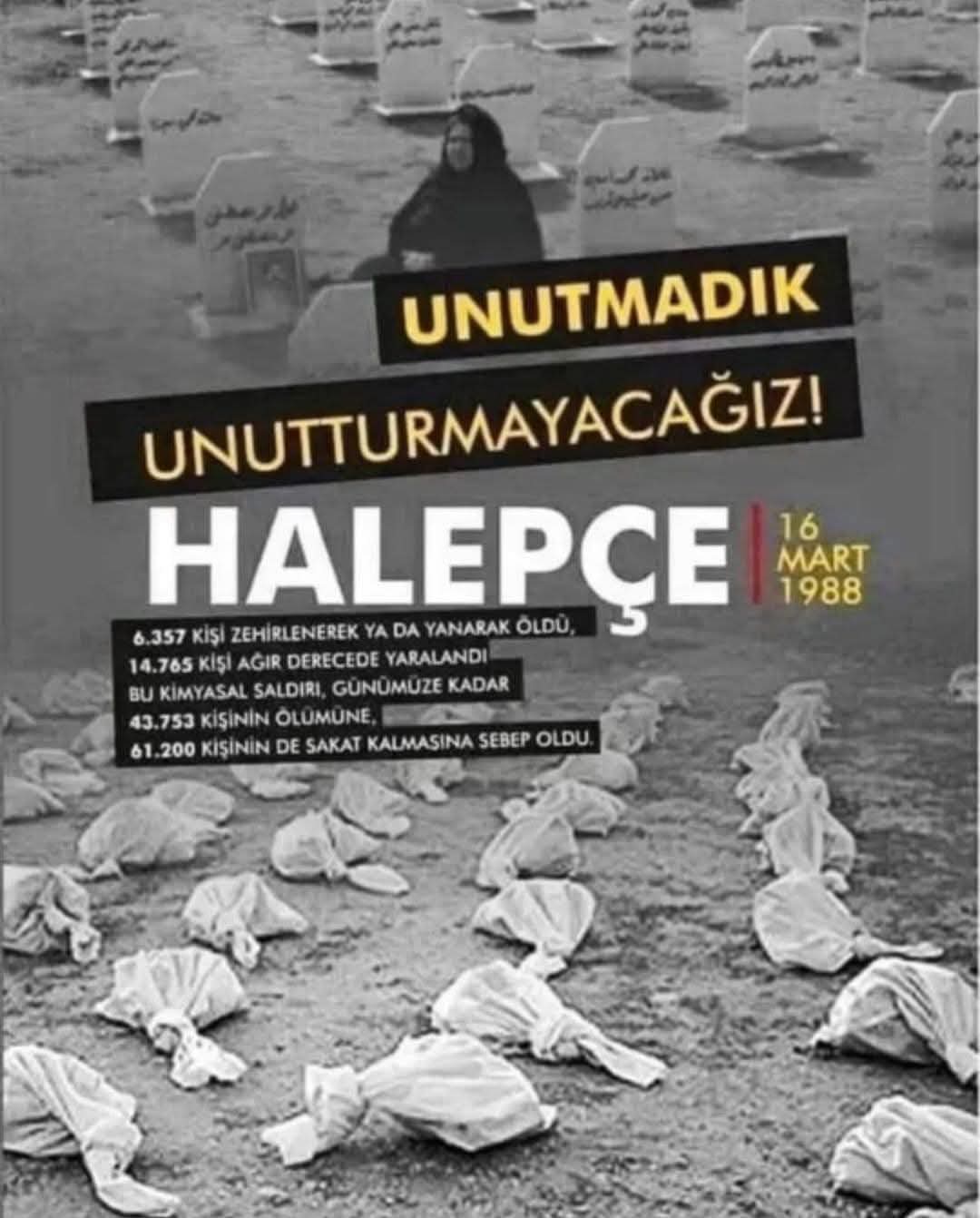 HALEPÇE KATLİAMINI UNUTULMAMAMAK DİLEĞİYLE LANETLİYORUM