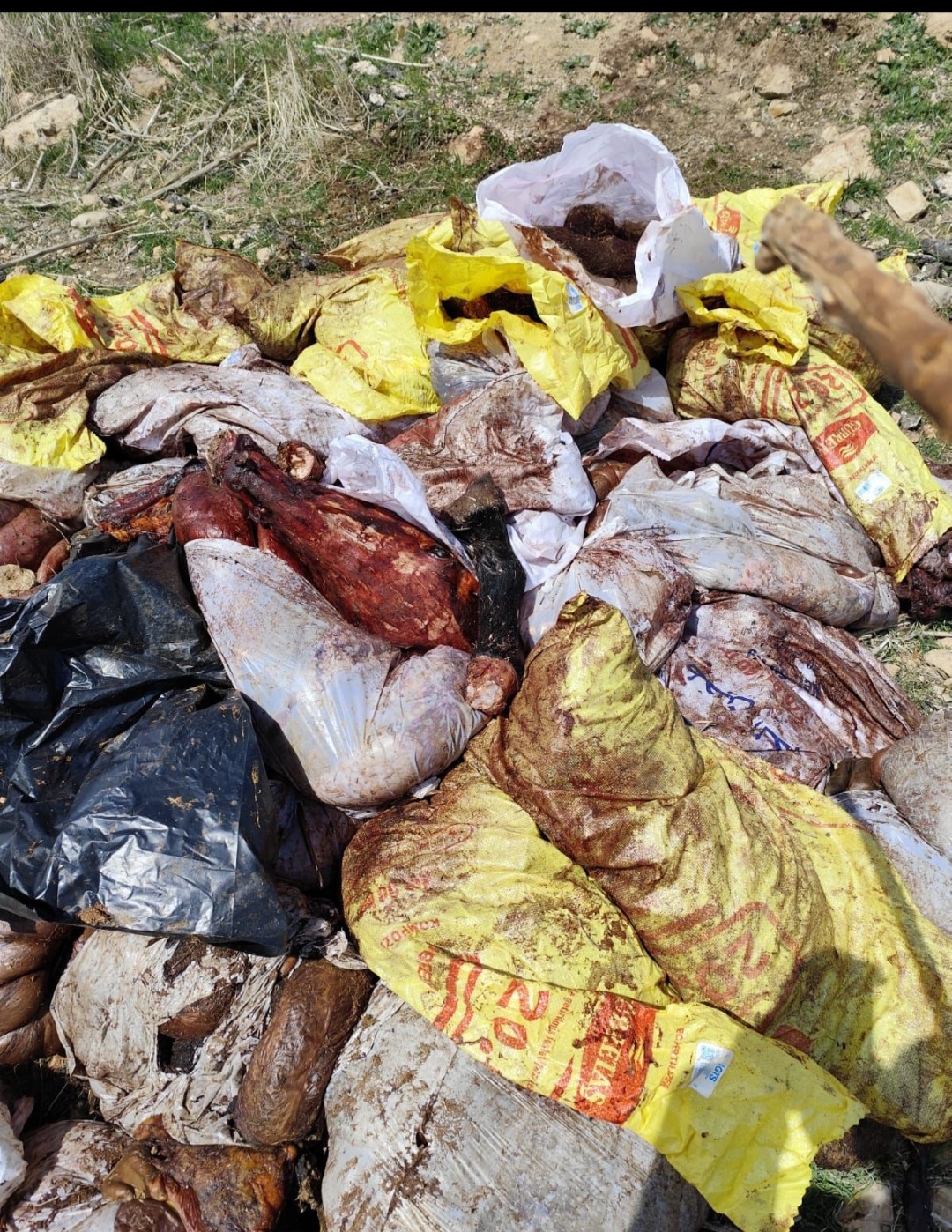 Mardin’de Eşek Eti Skandalı Bir Kişi Göz Altına Alındı