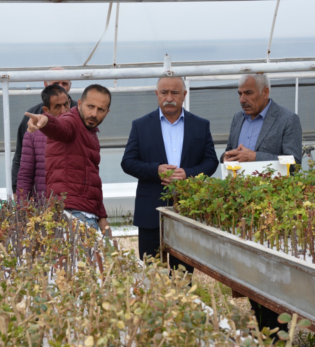 Kızıltepe Belediye serasında 400 bin bitki yetişiyor