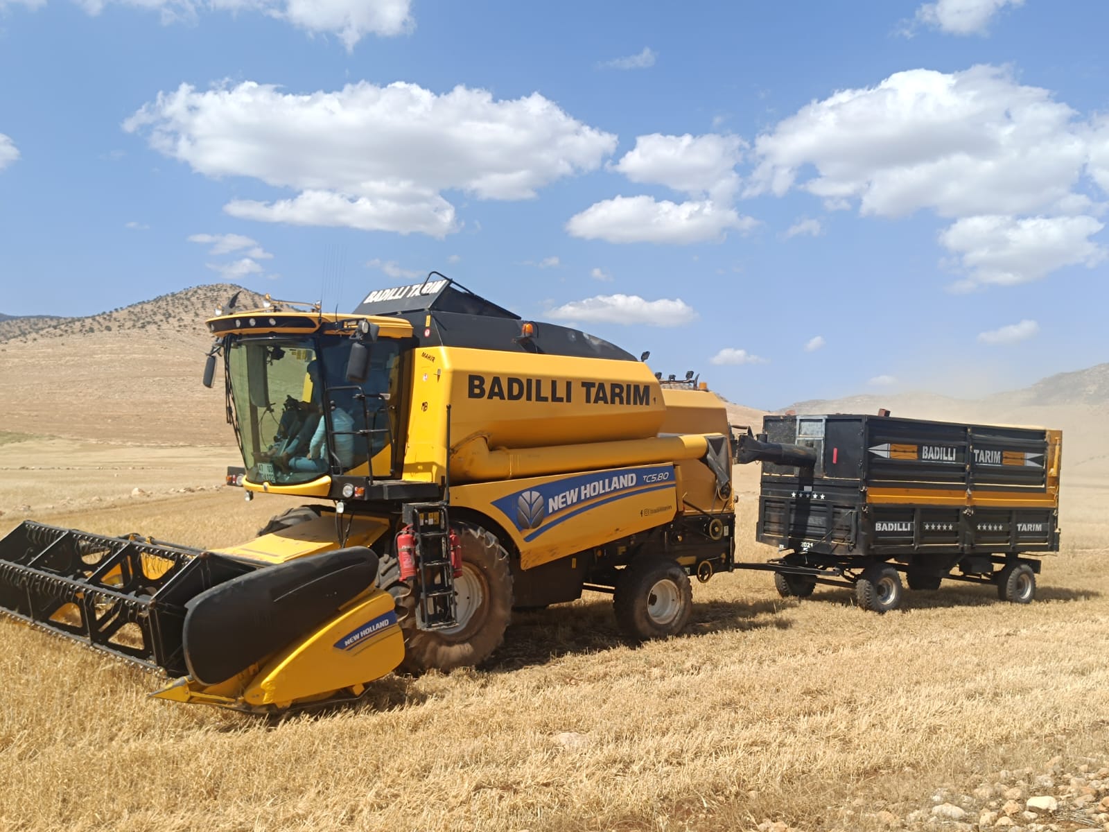 Mardin’de 2025 sezonunun ilk Arpa Hasadı yapıldı