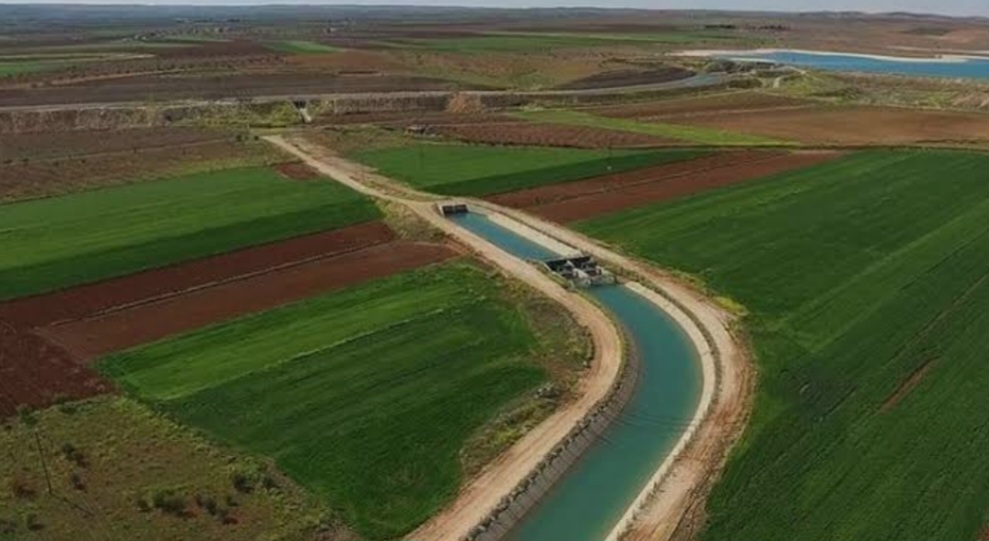 Mardin Ovası İçin Acil Adımlar ve Beklentiler GAP Projesi