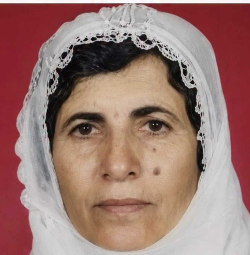 NUSAYBİN’DE 70 YAŞINDAKİ KADINA EVİNDE SALDIRI: AİLESİ YETKİLİLERE ÇAĞRIDA BULUNDU